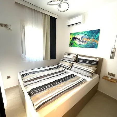 Lifestyle & Trends 리메나리아